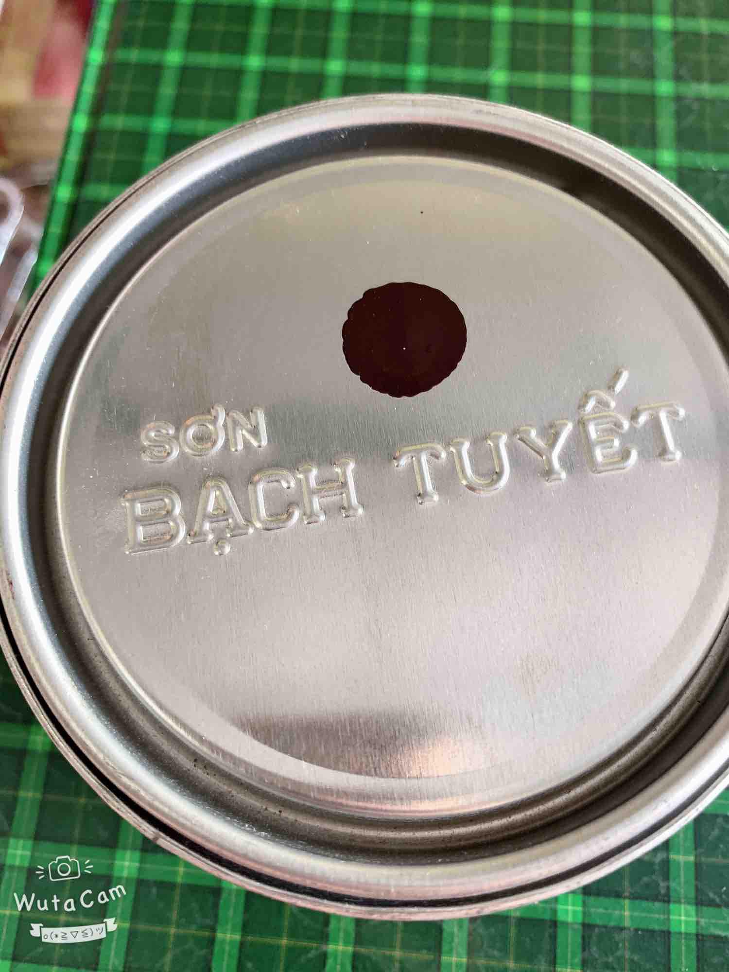 Sơn bạch tuyết màu nâu 836 (Ankyd bóng 800gr)
