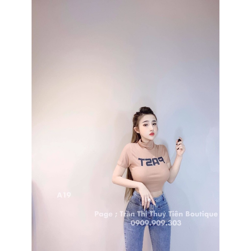 Áo Thun Lụa Croptop Tay Ngắn Cổ Trụ TTSA0130