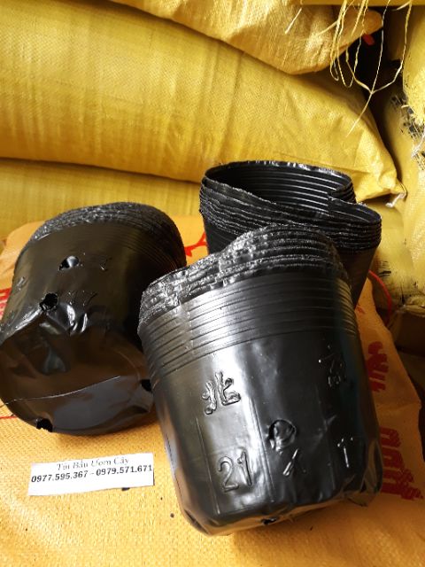 1kg bầu ươm cây 21x17 / 100 cái