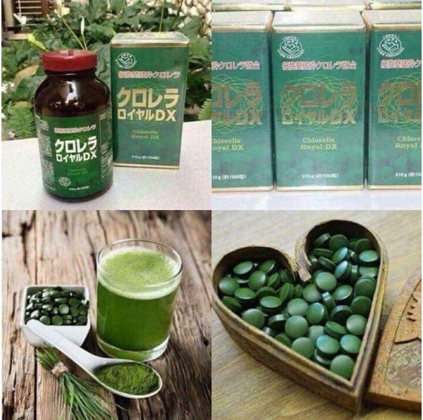 Tảo Lục Chlorella Royal Dx 1550 Viên