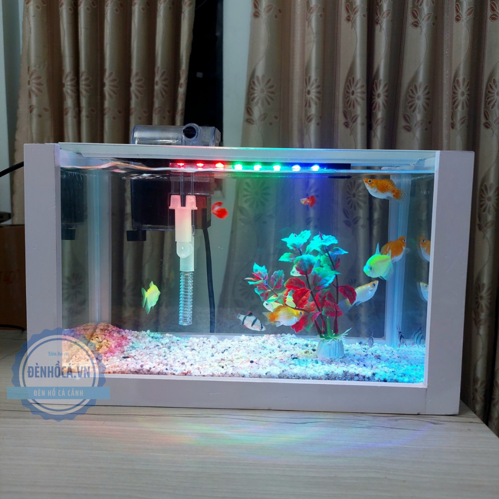 Bể cá mini 30cm COMBO đầy đủ phụ kiện