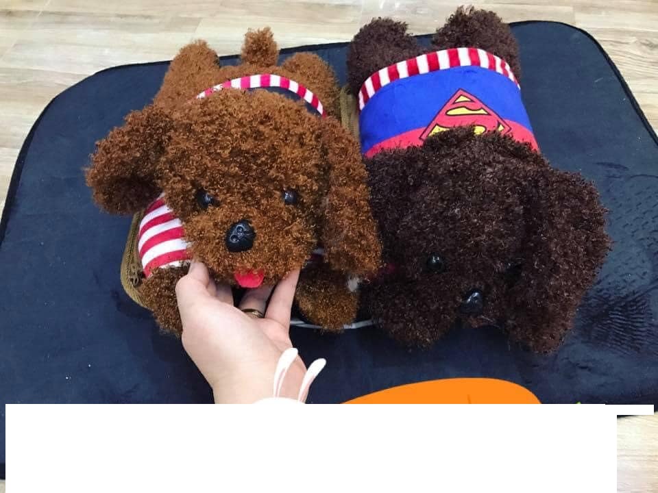 Túi Sưởi Ấm Hình Thú Dễ Thương