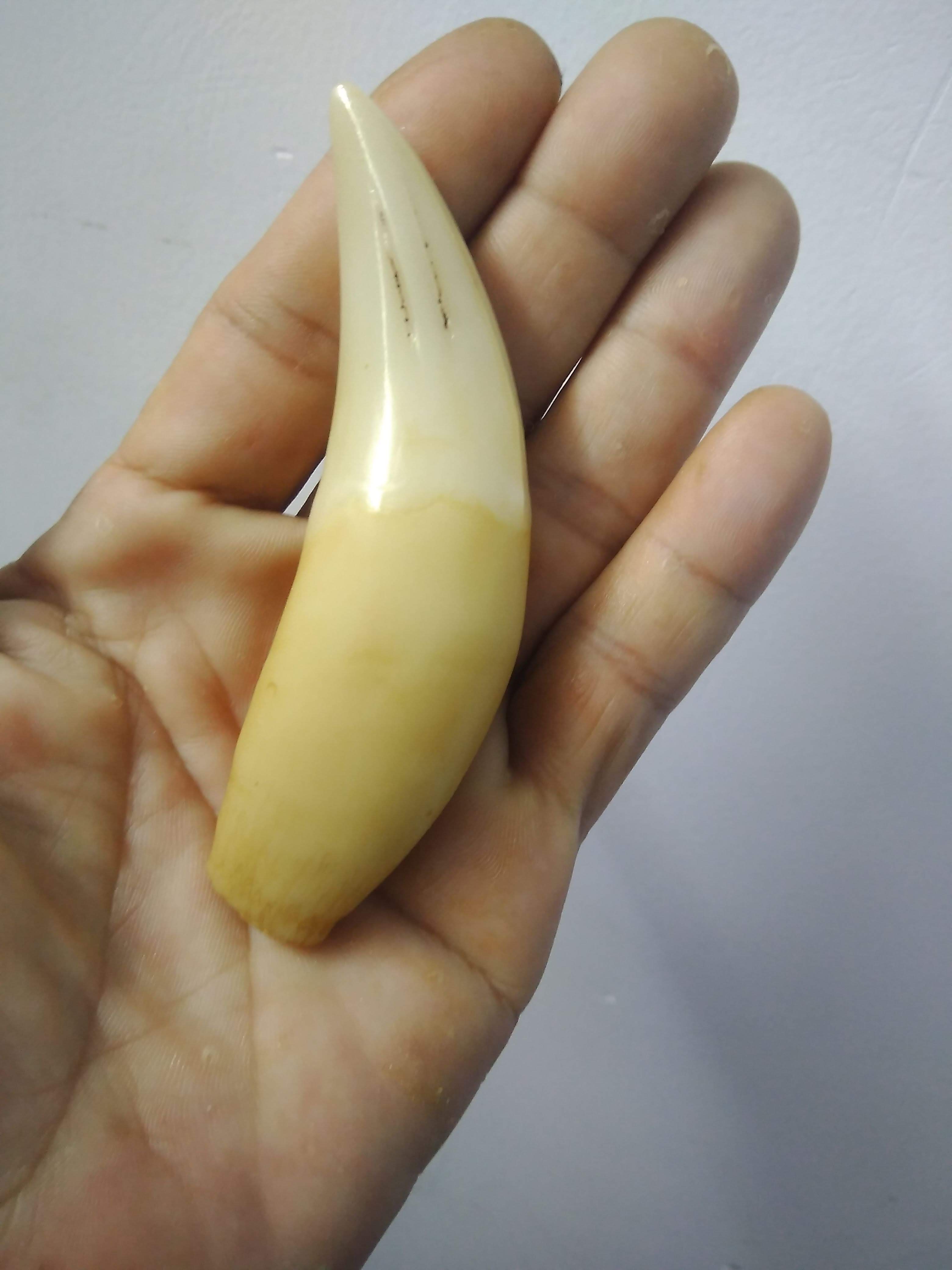 [HCM]NANH MỸ NGHỆ ĐẸP DÀI 10CM CAO CẤP