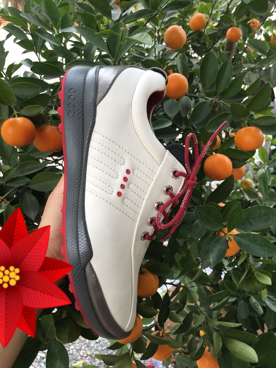 GIÀY GOLF ECCO, Mẫu mới nhất 2020, giày đánh golf, Giày golf nam