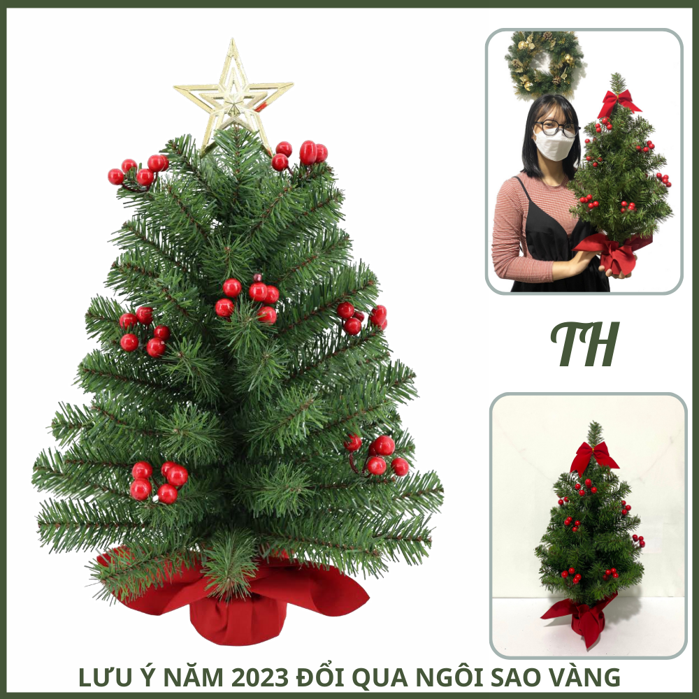 Cây thông noel mini để bàn xanh gắn trái đỏ 40cm, 60cm, cây thông noel để bàn trang trí giáng sinh