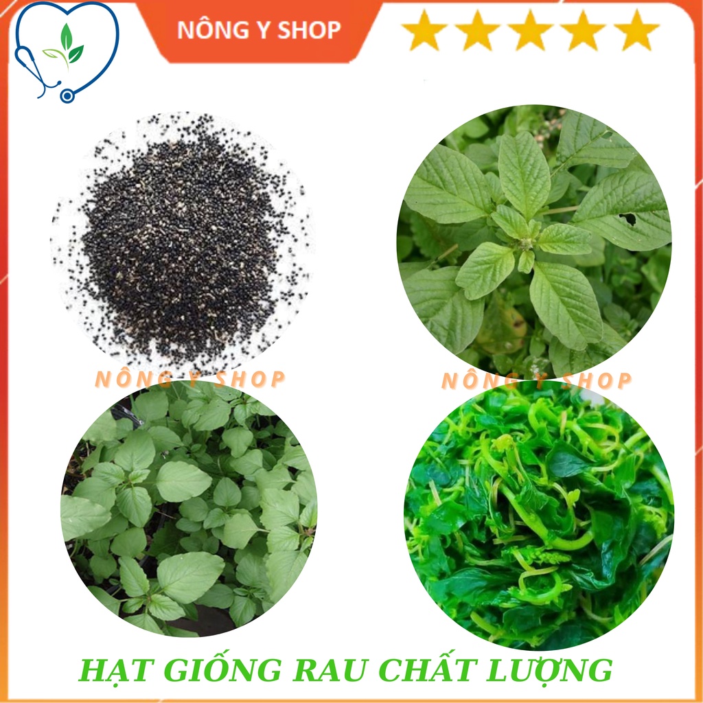 (Túi zip 200 hạt - trồng thử) Hạt giống dền cơm Rạng Đông RADO 86