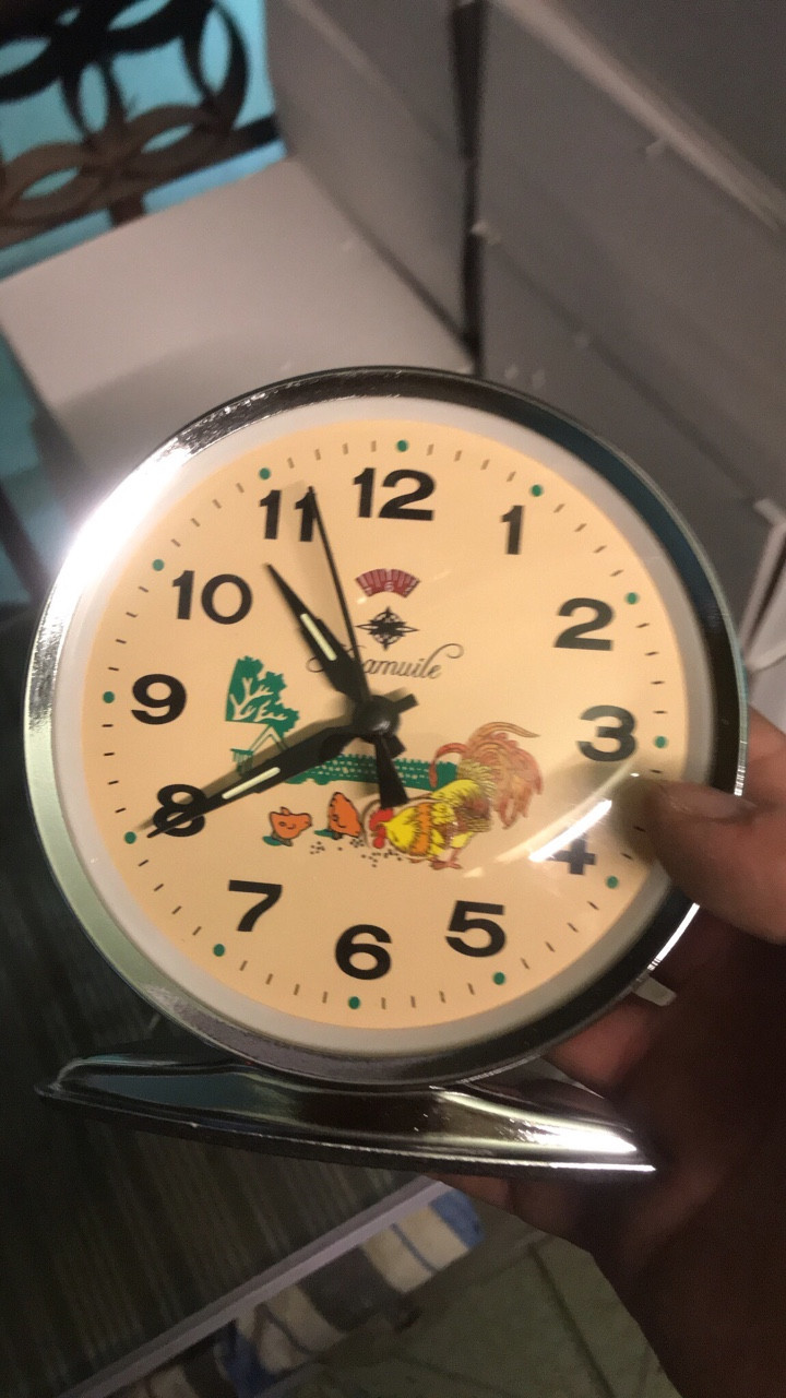 Đồng Hồ gà trống mổ thóc tròn