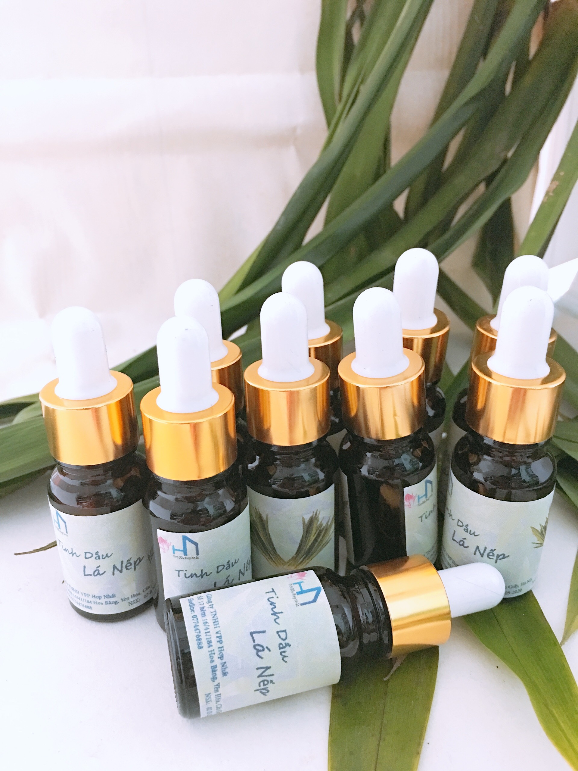 Combo 03 Lọ Tinh dầu Lá Nếp thơm 10ml