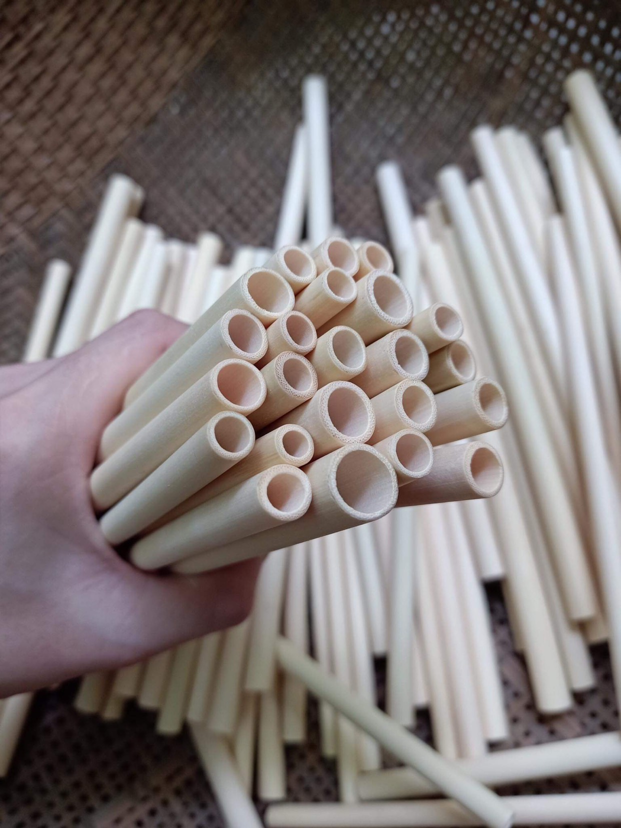 Ống hút tre - Hộp 10 ống hút tre + 1 que cọ xơ dừa - Bamboo Straws