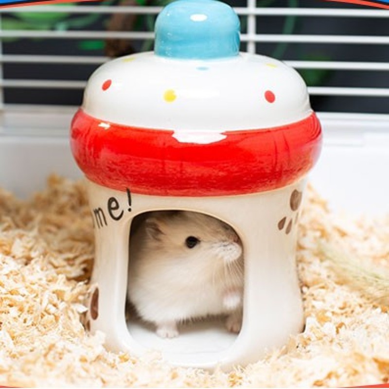 Nhà Sứ Bình Sữa Cho Hamster