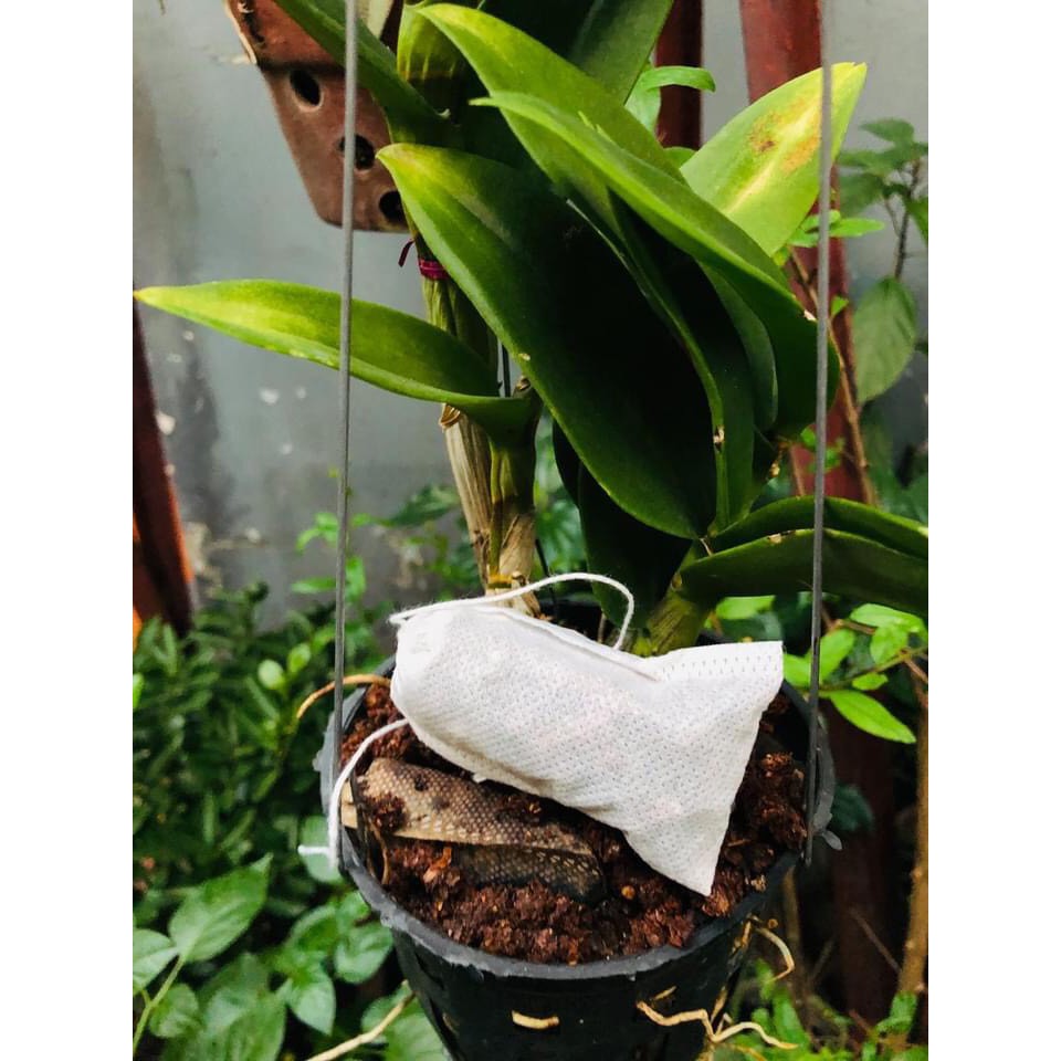 100 Túi Lọc Trà, Đựng Phân Tan Chậm Bón Gốc