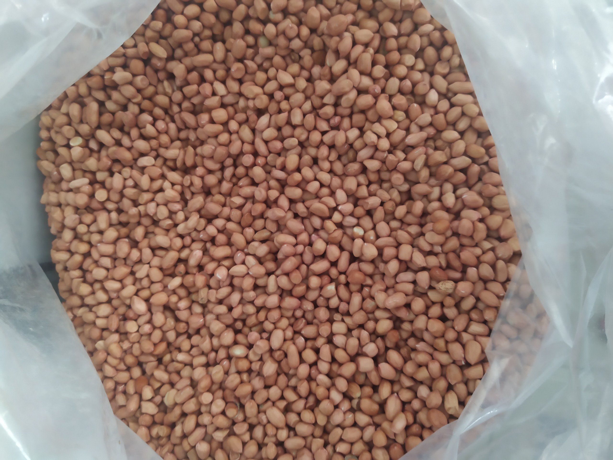 1kg đậu phộng sống (đậu lạc) đã bóc vỏ - sạch 100%