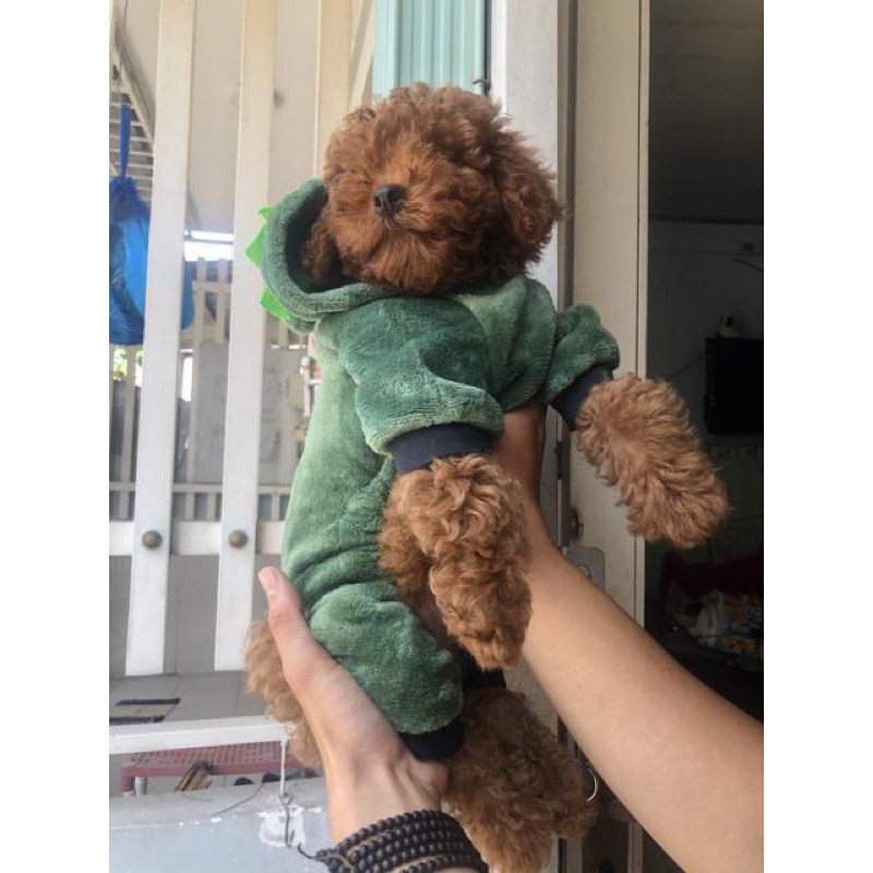 ÁO CHÓ MÈO THU ĐÔNG LIỀN QUẦN SIÊU CUTE