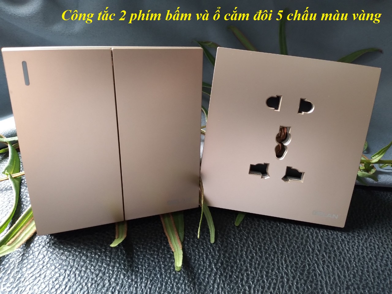 Ổ cắm đôi 5 chấu đa năng