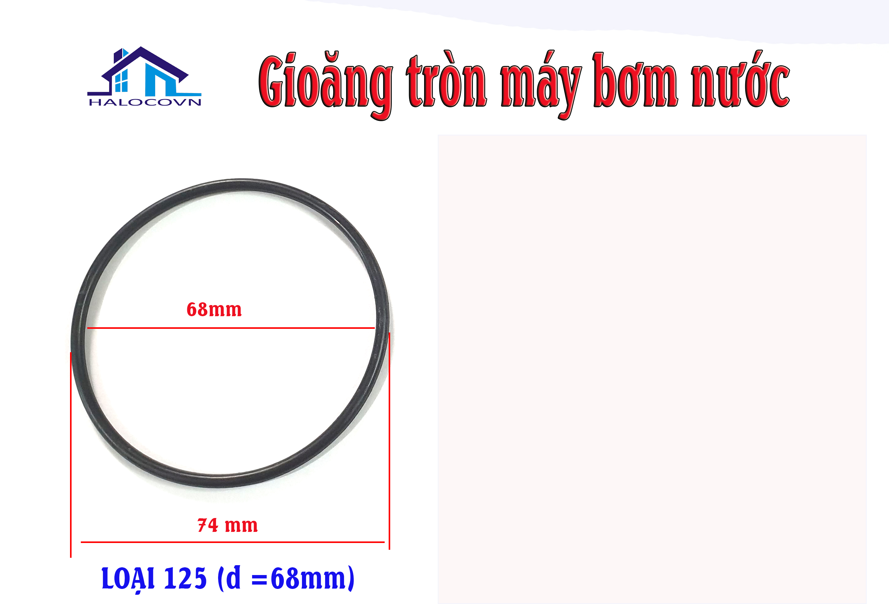Gioăng máy bơm nước 125 250