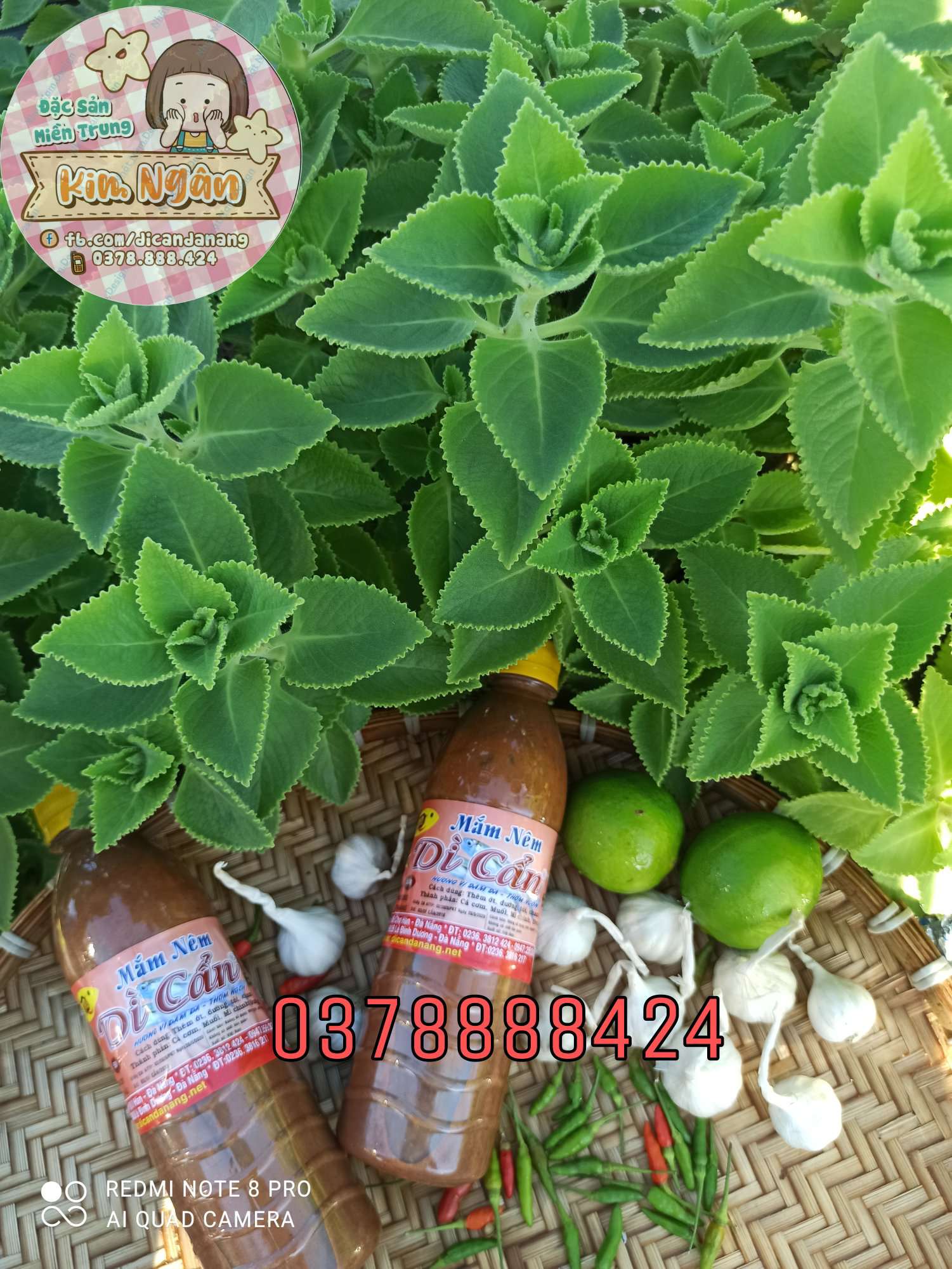 [HCM][Combo] 2 chai mắm nêm Dì Cẩn 500g