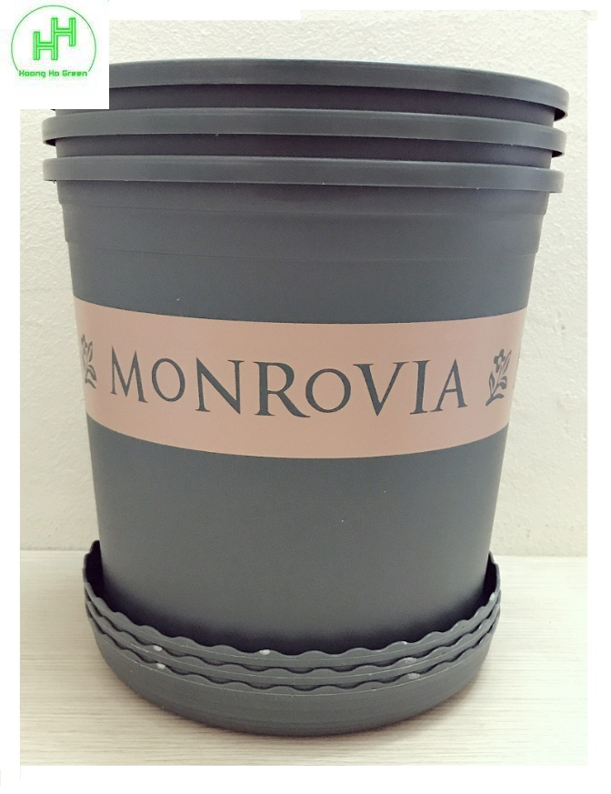 3 bộ chậu nhựa trồng hoa cây cảnh monrovia cn 2gal
