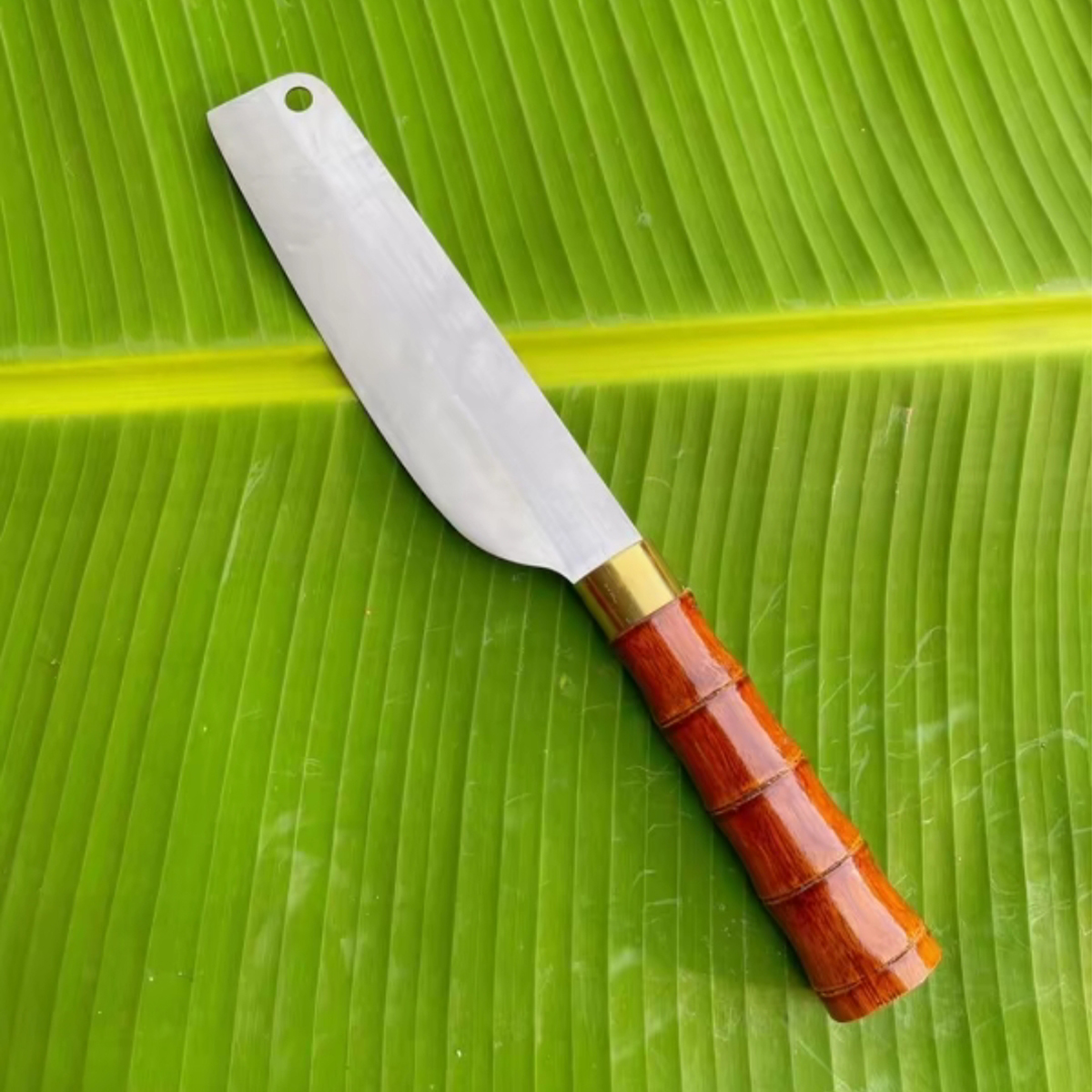Bộ 5 dao bếp thép trắng nhật kháng gỉ siêu bén chặt thái gọt