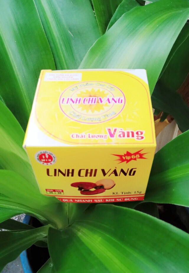[HCM]Kem siêu trắng linh chi vàng 15g