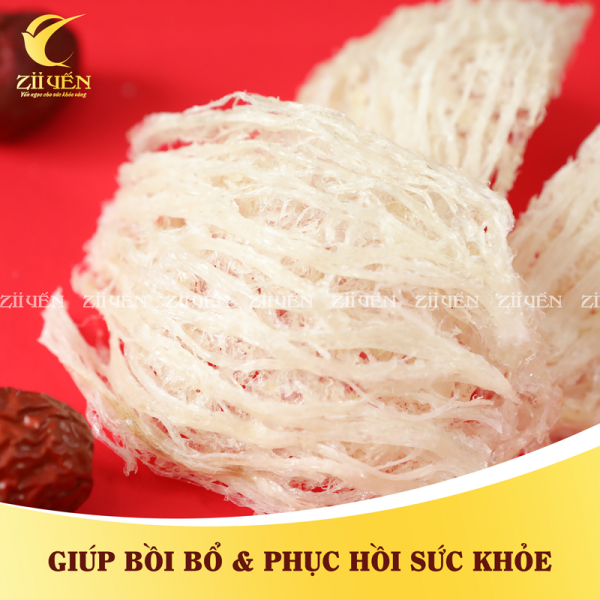 Tổ Yến tinh chế cao cấp – 100g