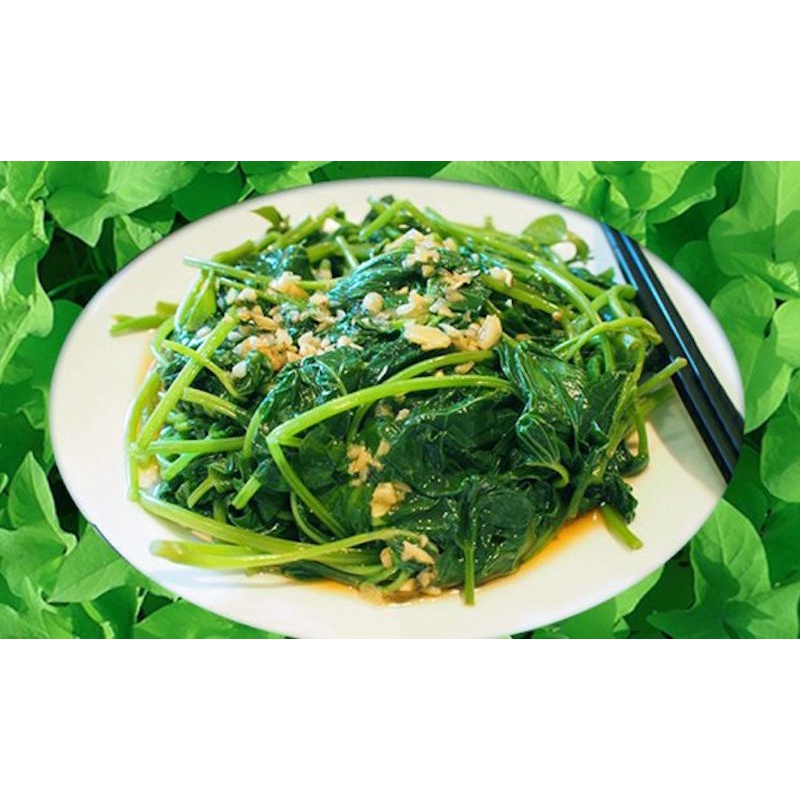 Dây khoai lang siêu ngọn (10 dây, mỗi dây dài 40cm) #daykhoailangsieungon