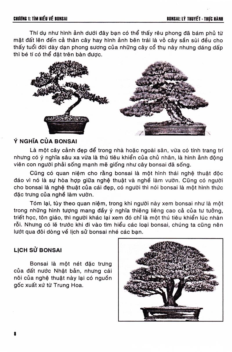 [HCM]Bonsai - Lý Thuyết - Thực Hành