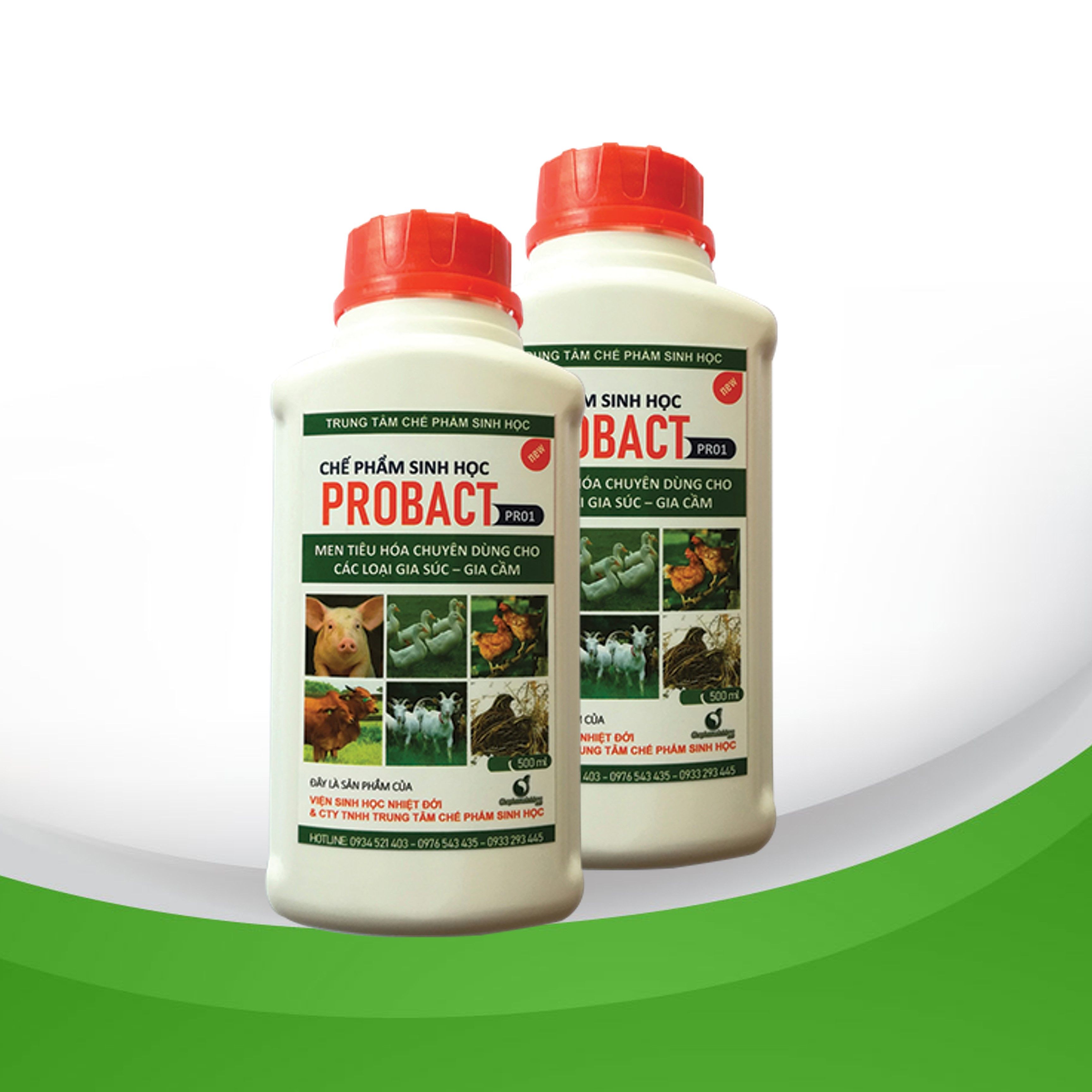 Men tiêu hóa  PROBACT cho gia cầm, gia súc