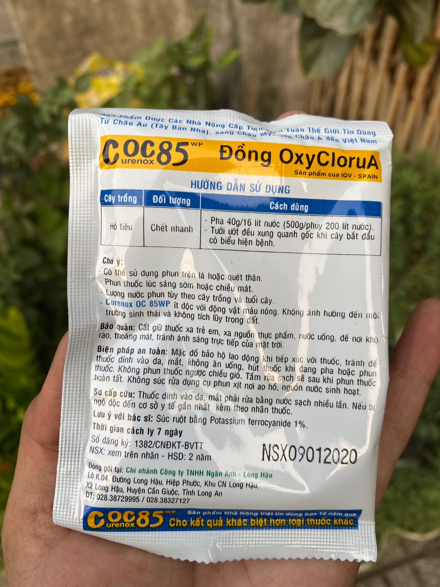 COC85  - SEN ĐÁ XƯƠNG RỒNG