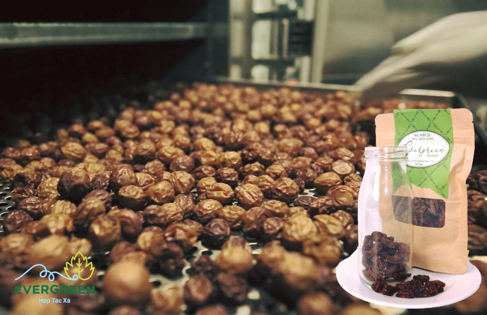 Nho đỏ sấy nguyên hạt (túi 500gr)- HTX Evergreen