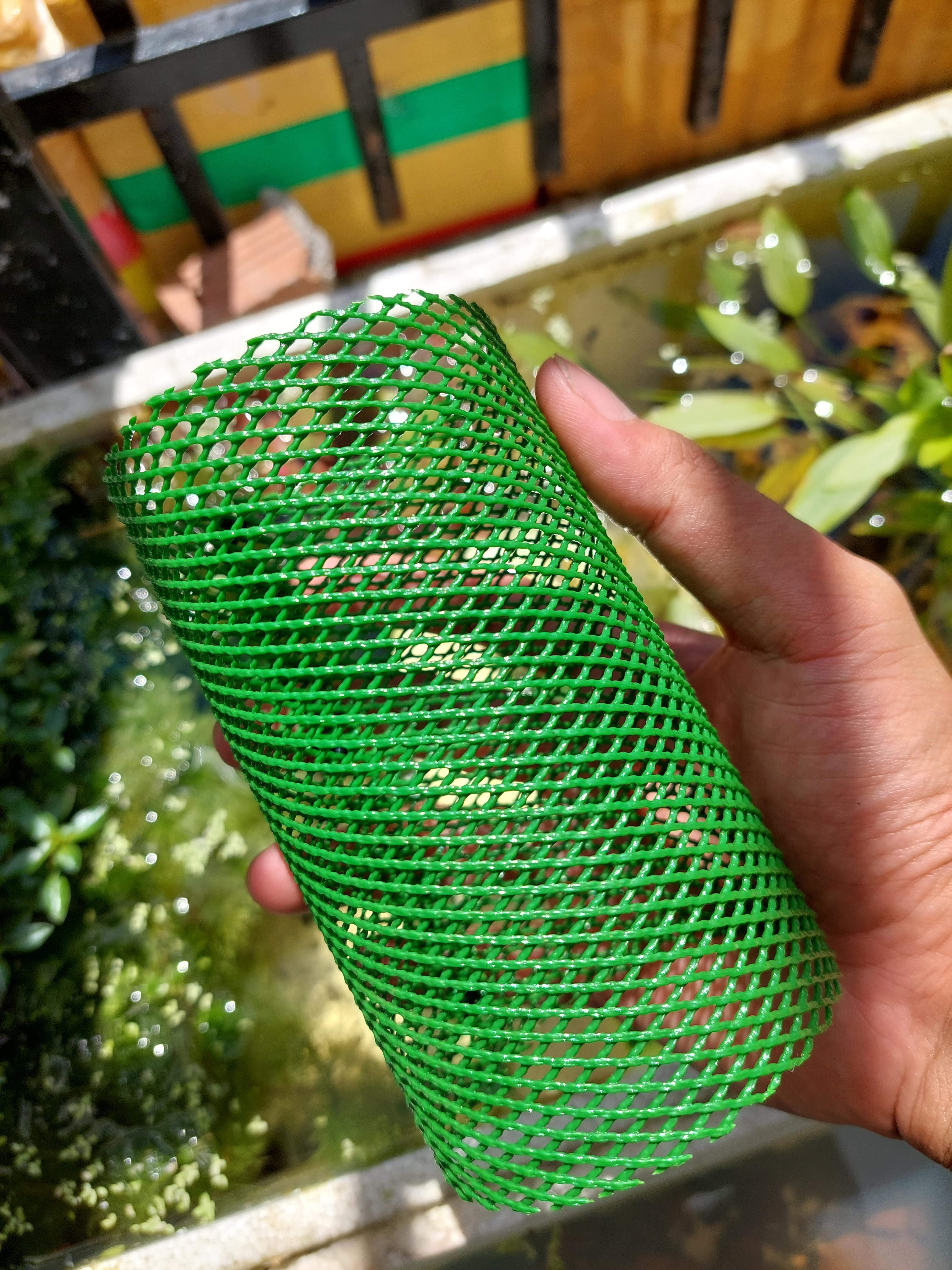 lồng lưới tách cá đẻ 2 màu 3li cao 13cm