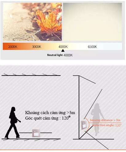 Công tắc cảm ứng Kawasan KW-SS21C