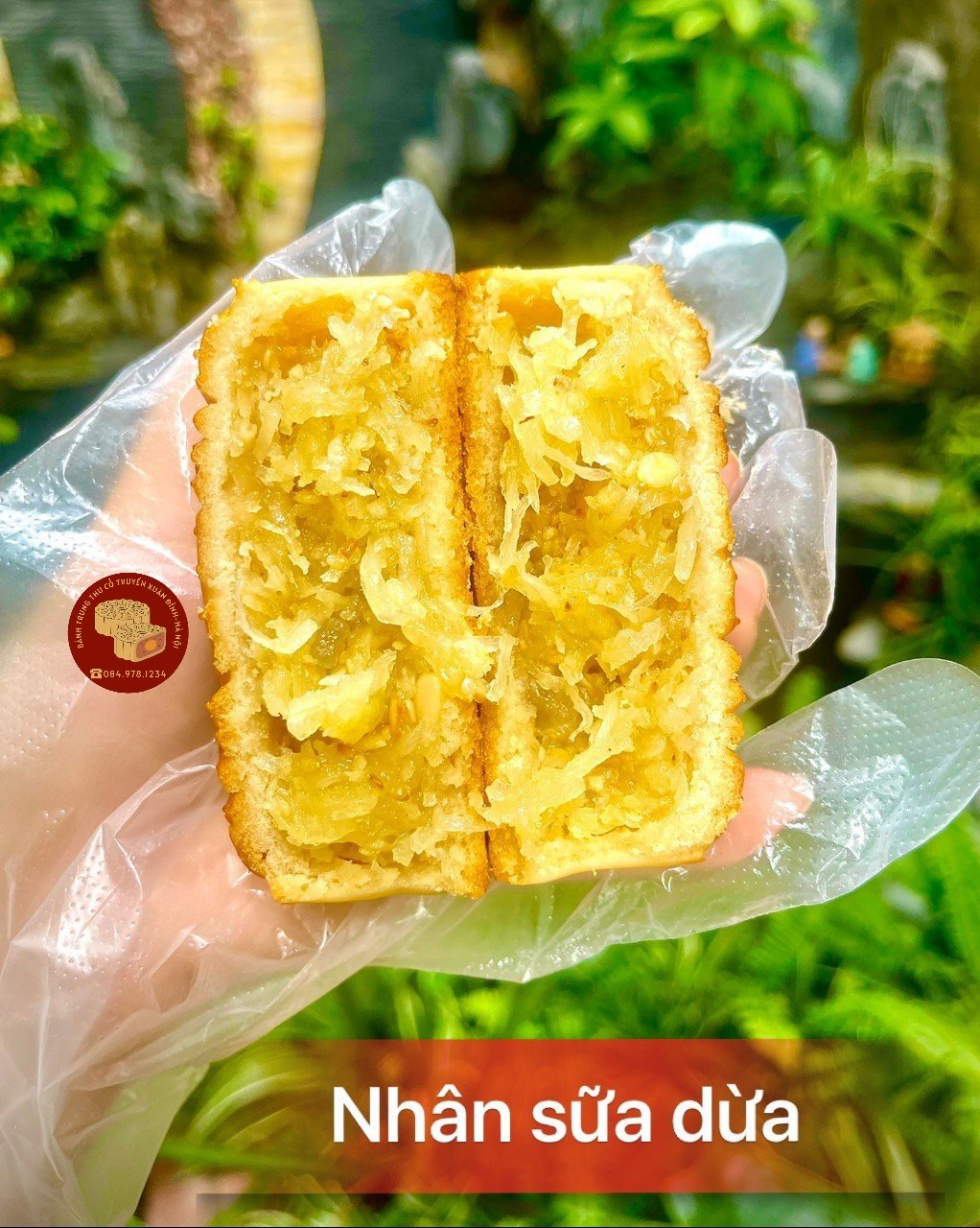 Bánh trung thu nhân sữa dừa tươi