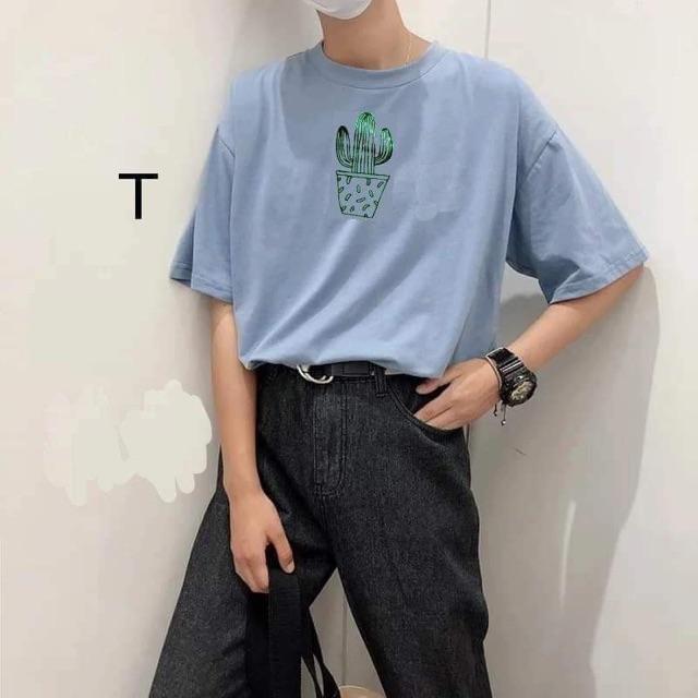 Áo phông chậu xương rồng DTR0619