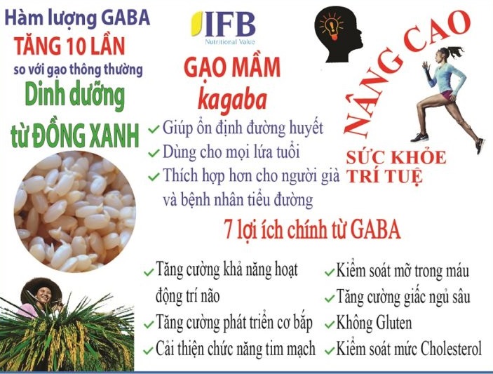 Gạo mầm Kagaba 5 kg