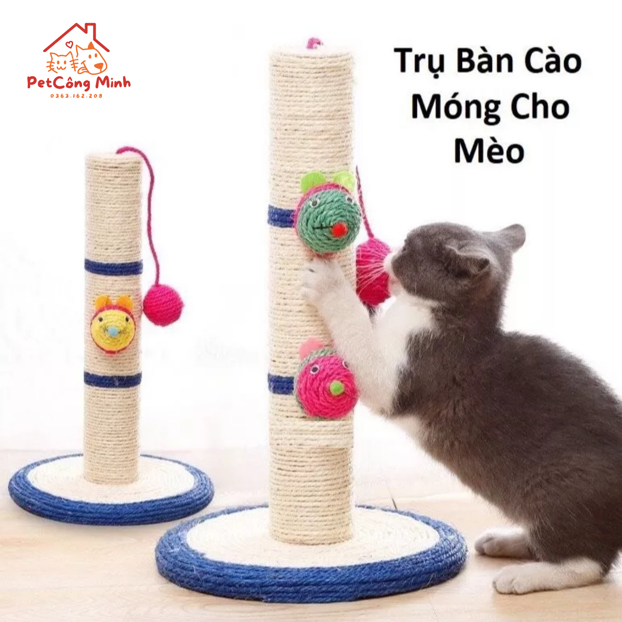 Cat scratch board posts