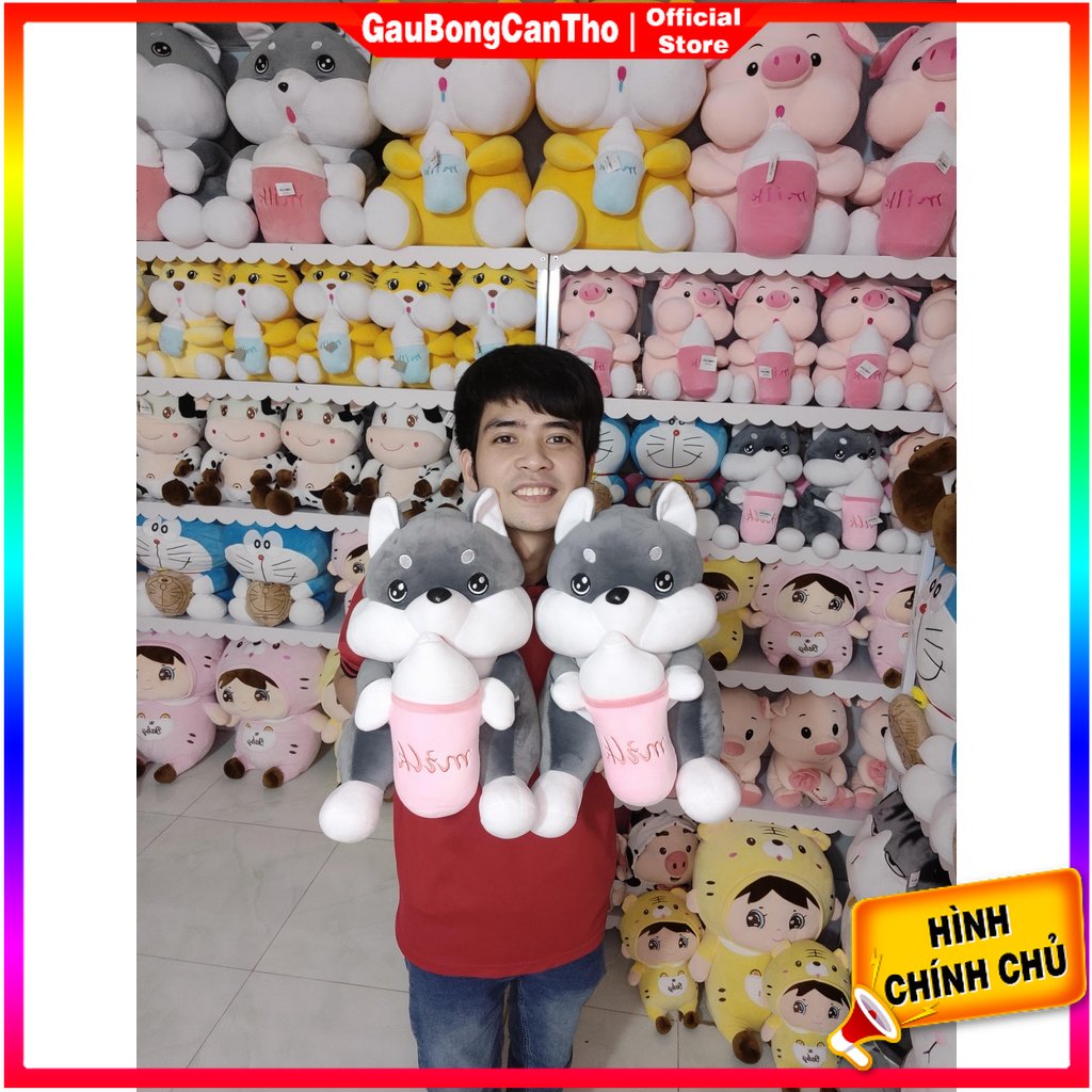 Chó Ôm Bình Sữa gấu bông husky mềm mịn