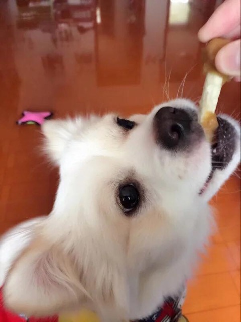 Xương sữa quấn gà nướng😘