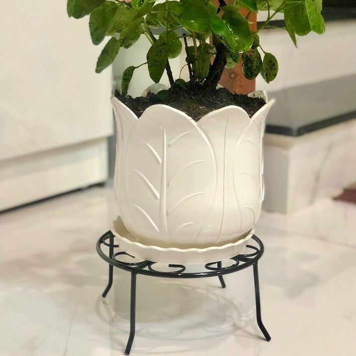 [GREEN HOUSE] Chân đế lùn sắt tĩnh điện kê chậu hoa, cây cảnh