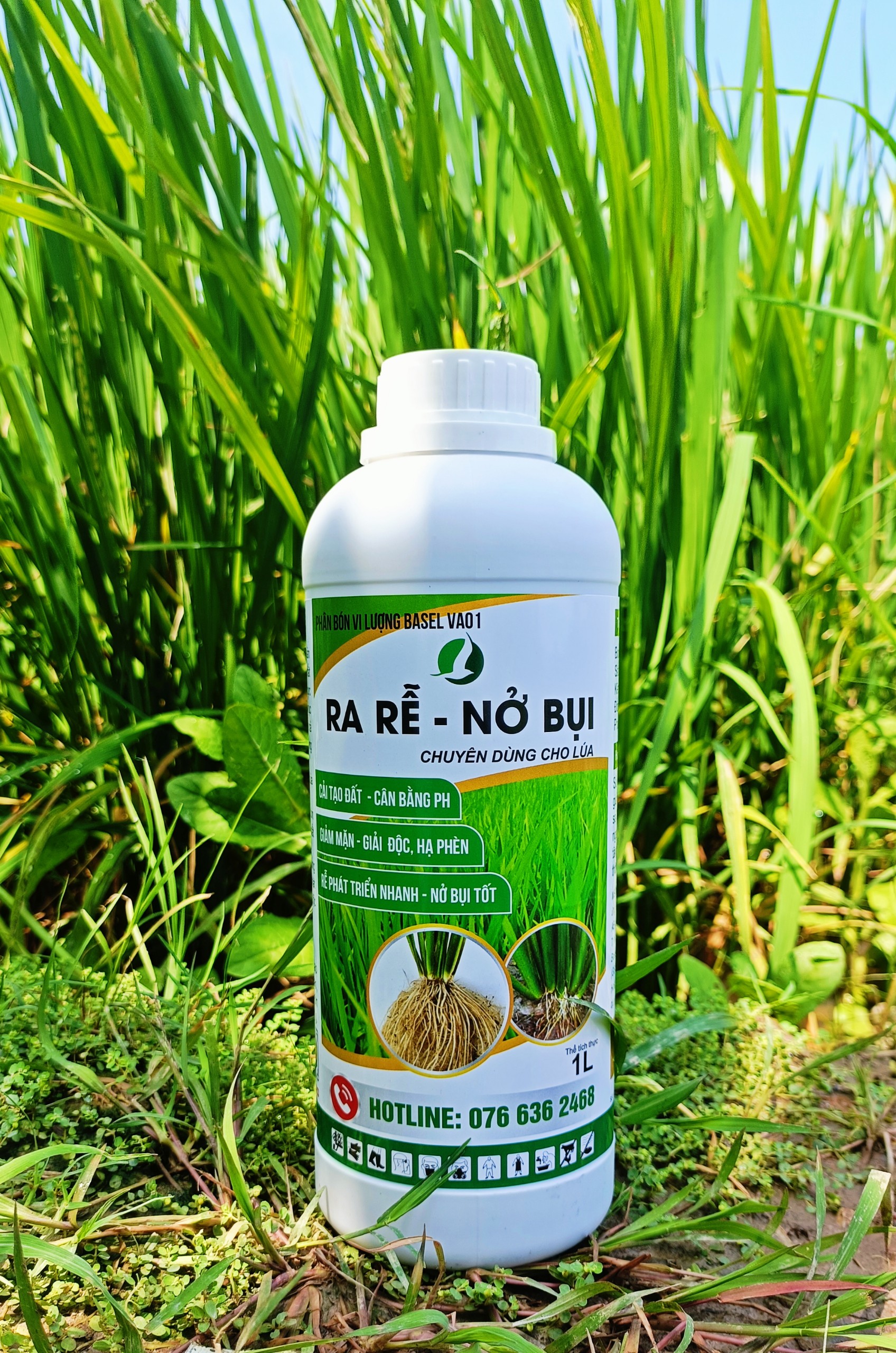 Ra rễ nở bụi chuyên lúa chai 1l