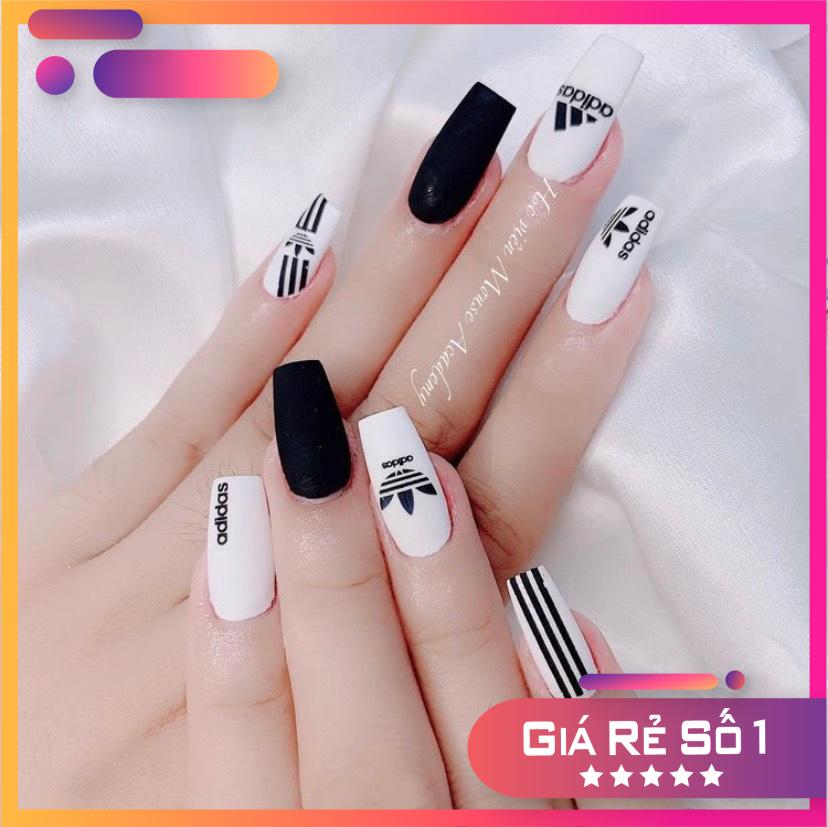 Móng up HSM vuông đục ,Hộp 500 móng - Nail 937