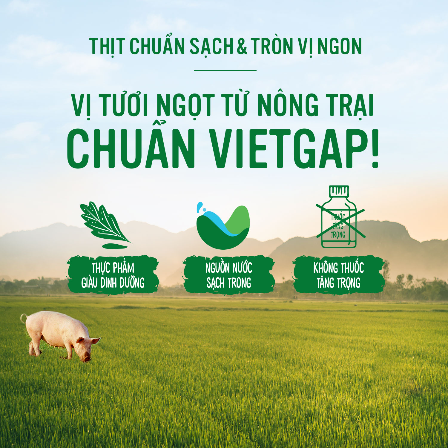 Hạt Nêm Knorr Thịt Thăn (Xương Ống & Tủy) Túi 1800G