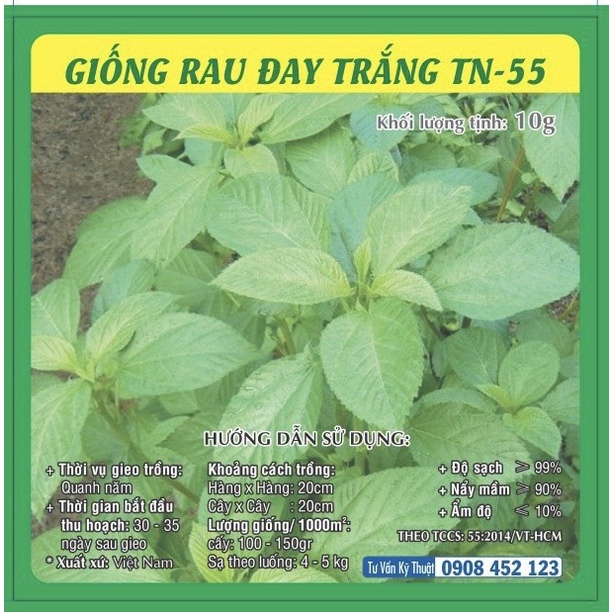 Hạt giống Rau Đay Đỏ - Rau Đay trắng TN - 55