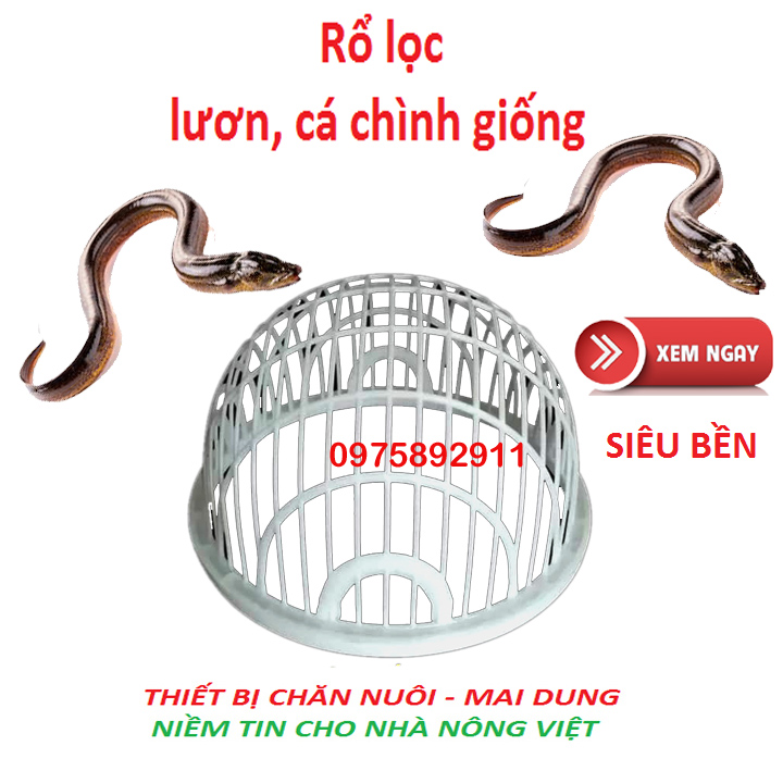 RỔ LỌC CÁ , LƯƠN GIỐNG CHUYÊN NGHIỆP