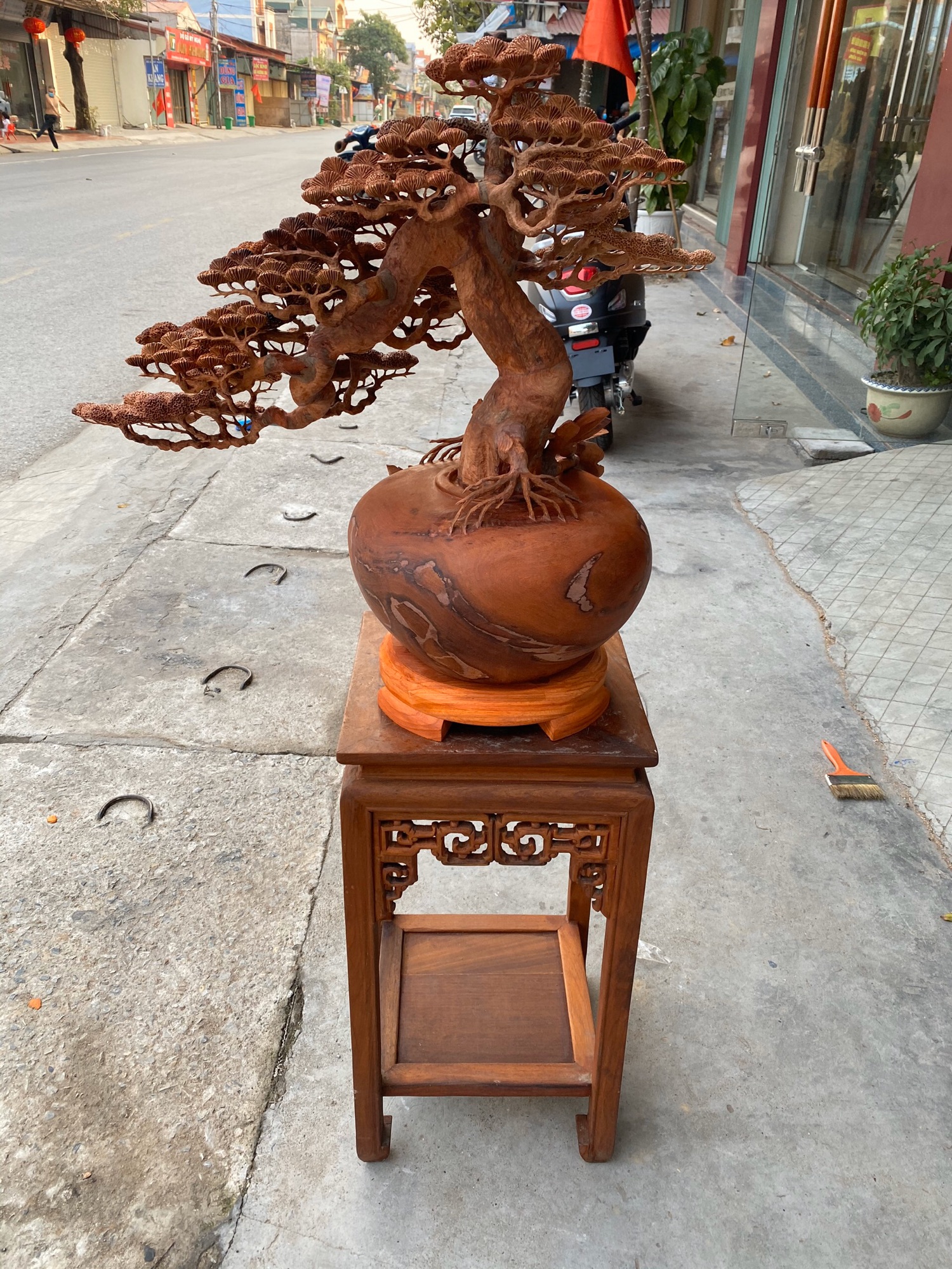 🍁🍁🍁BON SAI TÙNG THÁC  ĐỖ !!!