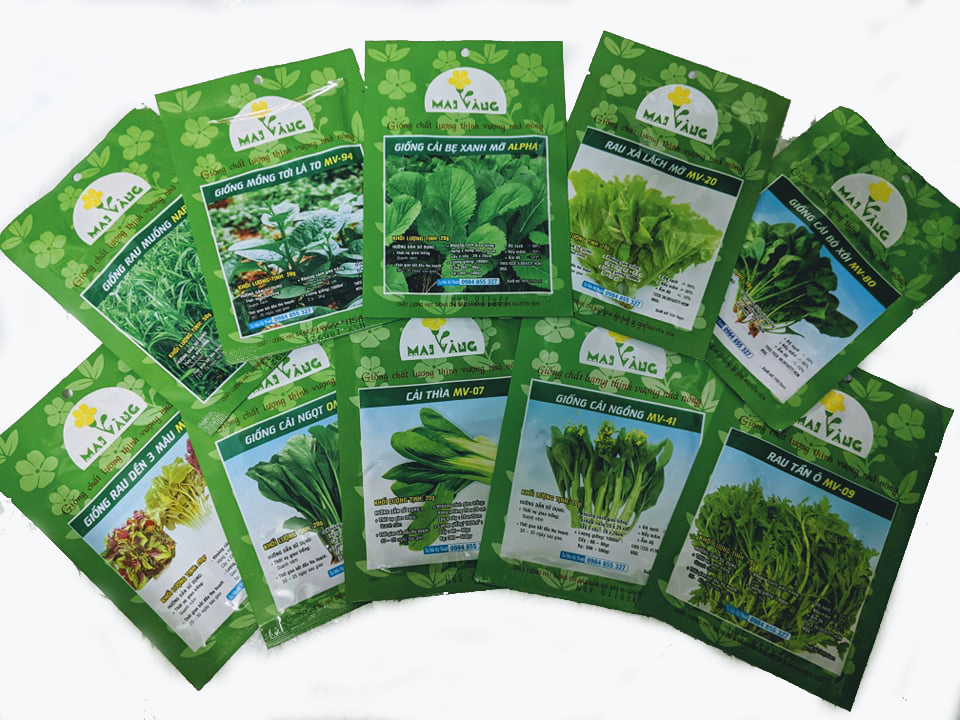 Hạt giống Tía Tô 1gr