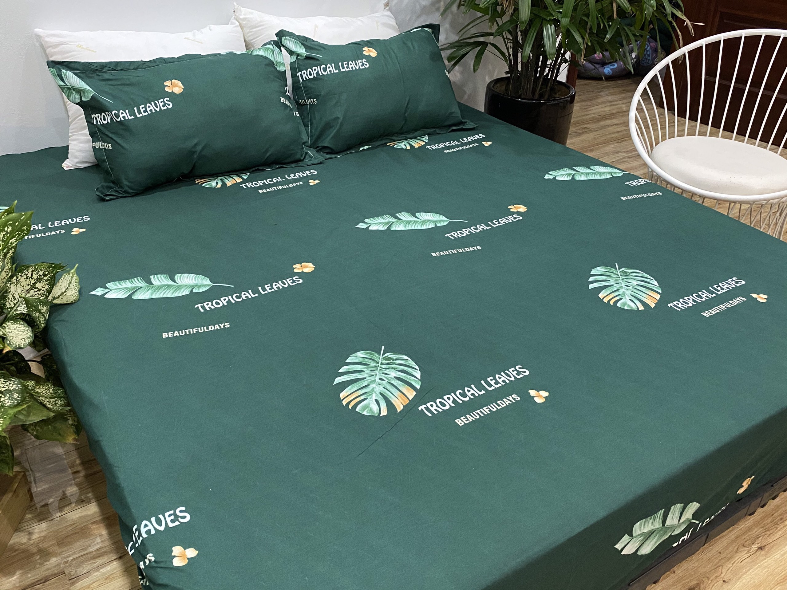 Set Ga Gối 3 Món (Gồm 1 Ga bo chun + 2 Vỏ Gối Nằm) Mẫu Lá Chuối CH219