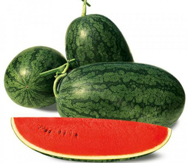 Gói 40 hạt giống dưa hấu quả dài ruột đỏ - dưa hấu hắc mỹ nhân - hạt giống nhập khẩu y hình