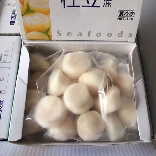 Giá sỉ 1kg cồi điệp nhật - cồi điệp nhật 20-25