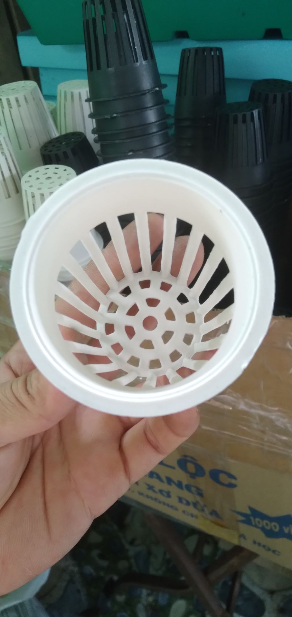 [HCM]Rọ phi 65 chuyên trồng rau thủy canh ( 100 rọ)
