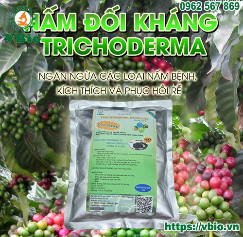 2 túi Trichoderma dạng bột 1kg - 2kg men ủ vi sinh Tricoderma - Phân vi sinh hữu cơ Tricho